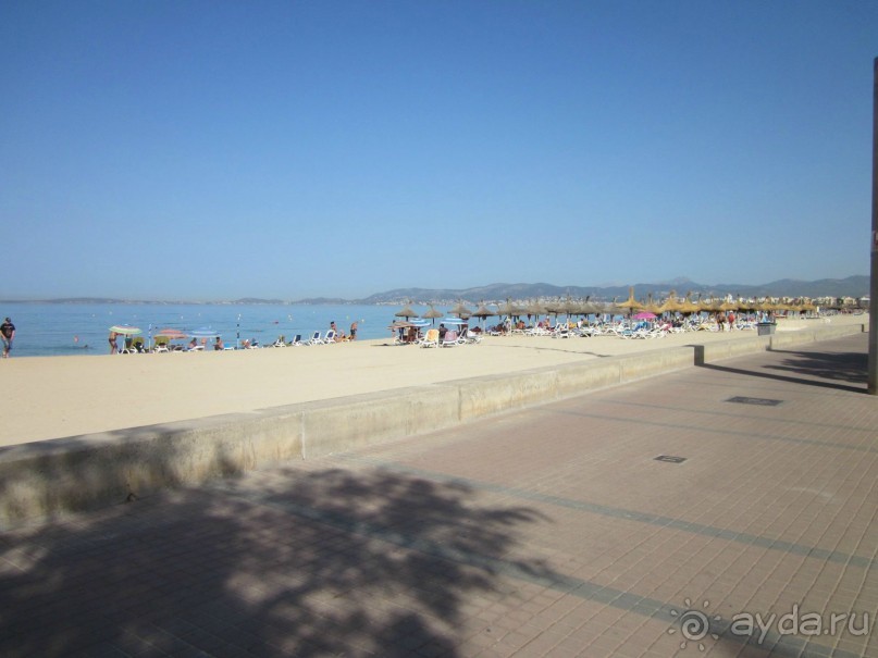 АДЬОС "баблос" по-испански.