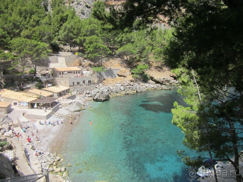 АДЬОС "баблос" по-испански.