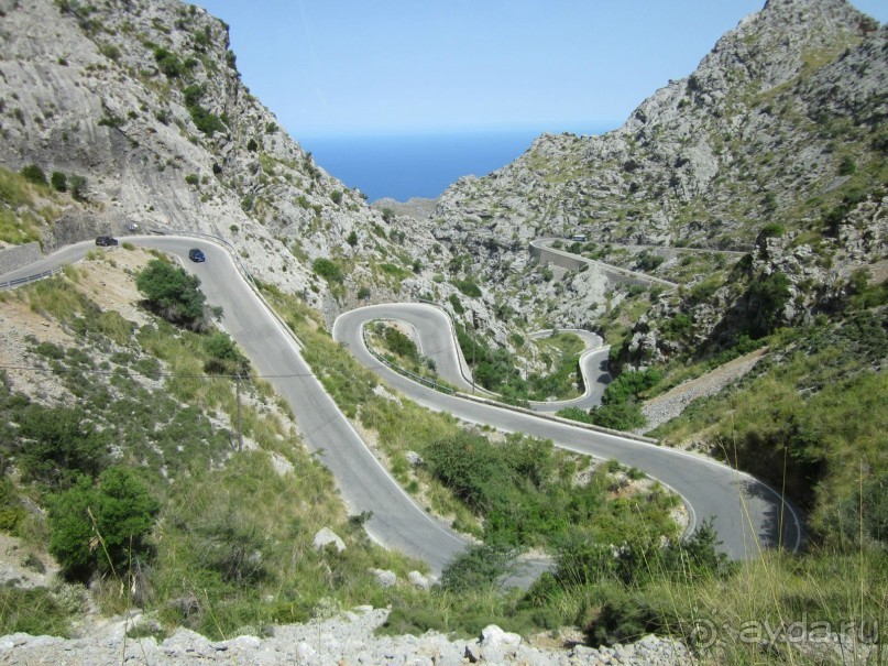 АДЬОС "баблос" по-испански.