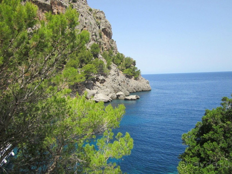 АДЬОС "баблос" по-испански.