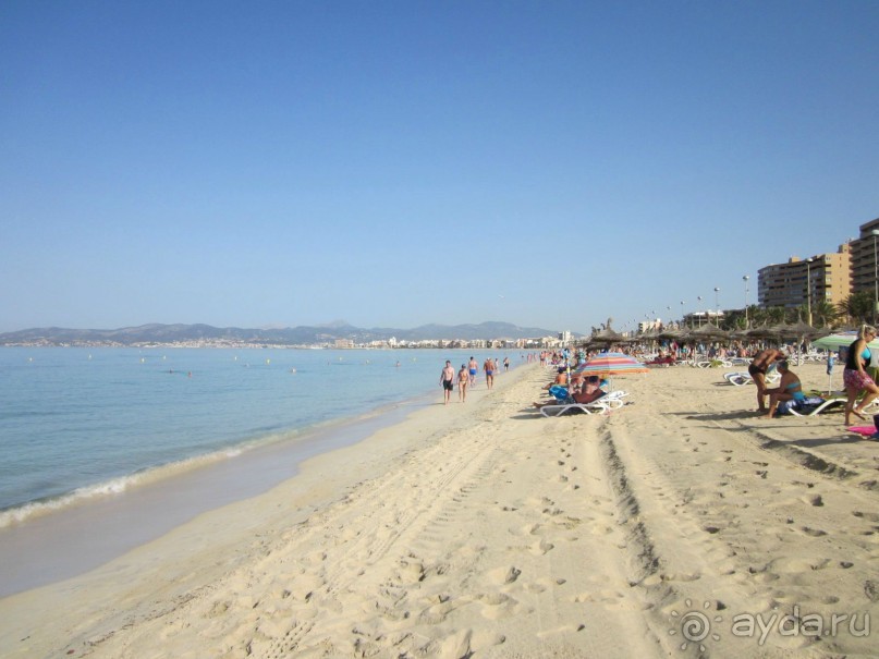 АДЬОС "баблос" по-испански.