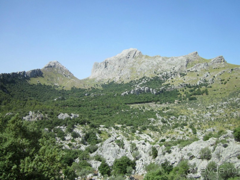 АДЬОС "баблос" по-испански.