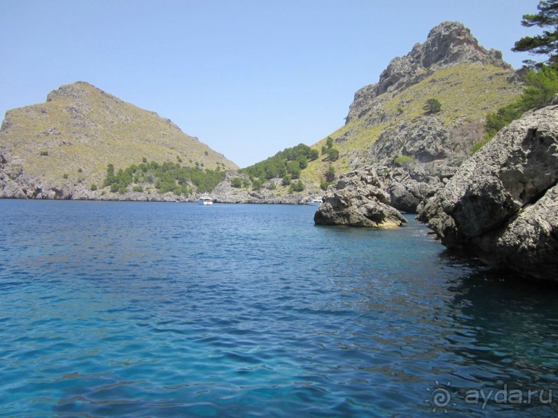 АДЬОС "баблос" по-испански.