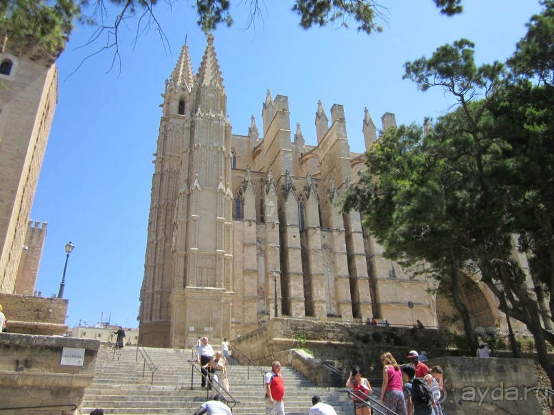 АДЬОС "баблос" по-испански.