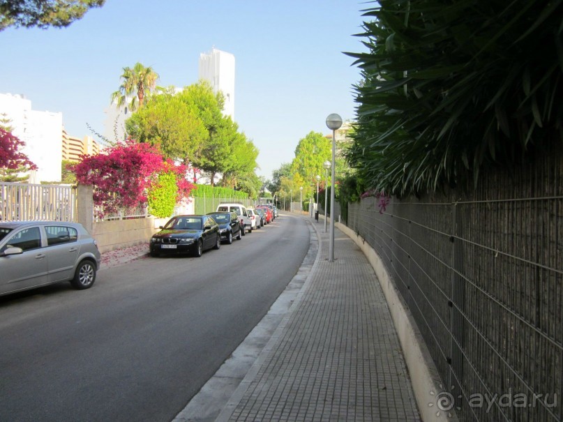 АДЬОС "баблос" по-испански.