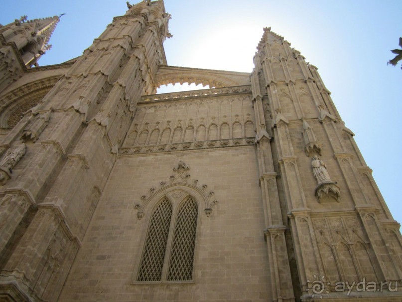 АДЬОС "баблос" по-испански.