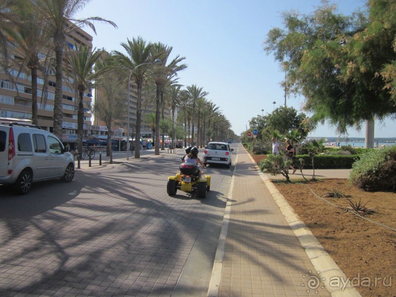 АДЬОС "баблос" по-испански.