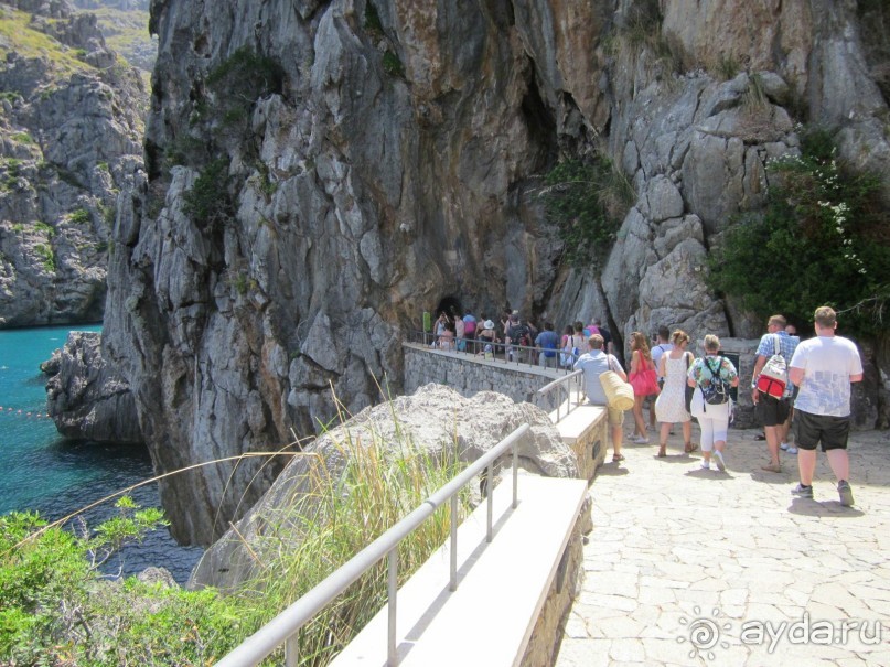 АДЬОС "баблос" по-испански.