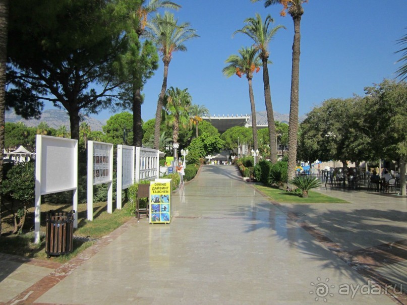  В НАПРАВЛЕНИИ ОСЕННЕГО «MainStream».