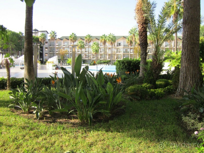  В НАПРАВЛЕНИИ ОСЕННЕГО «MainStream».