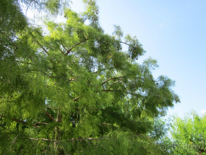  В НАПРАВЛЕНИИ ОСЕННЕГО «MainStream».