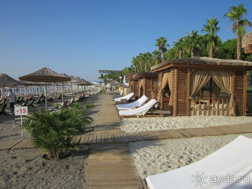  В НАПРАВЛЕНИИ ОСЕННЕГО «MainStream».