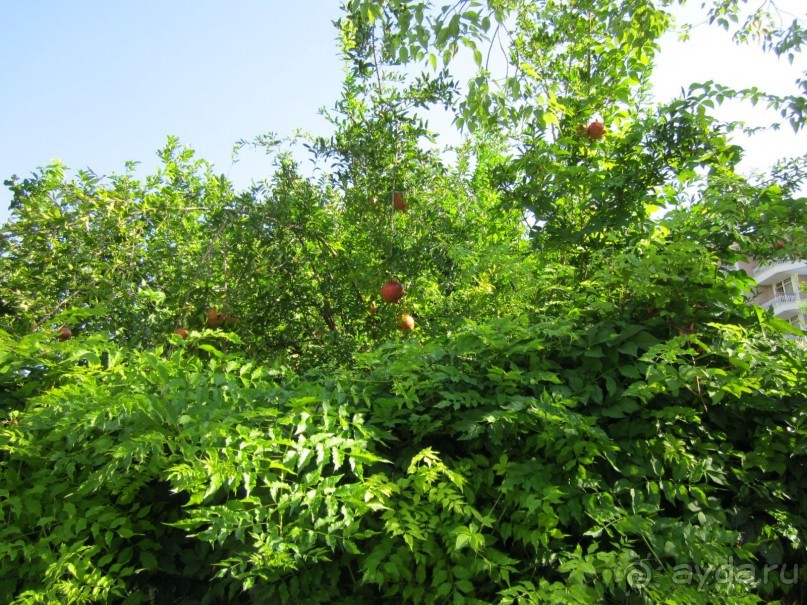  В НАПРАВЛЕНИИ ОСЕННЕГО «MainStream».