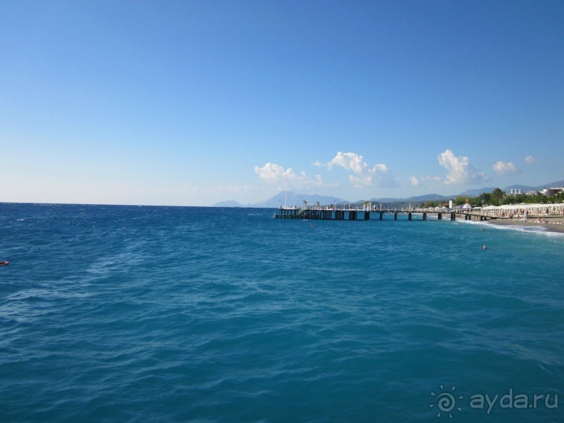  В НАПРАВЛЕНИИ ОСЕННЕГО «MainStream».