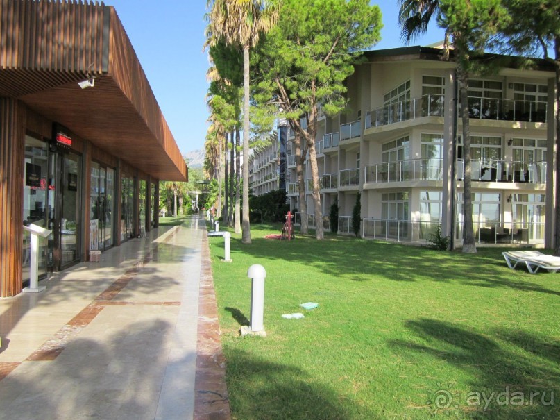  В НАПРАВЛЕНИИ ОСЕННЕГО «MainStream».