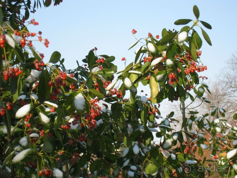 На Хевизе нет раздраженных людей