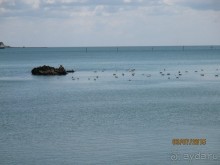 11 дней удачного отпуска