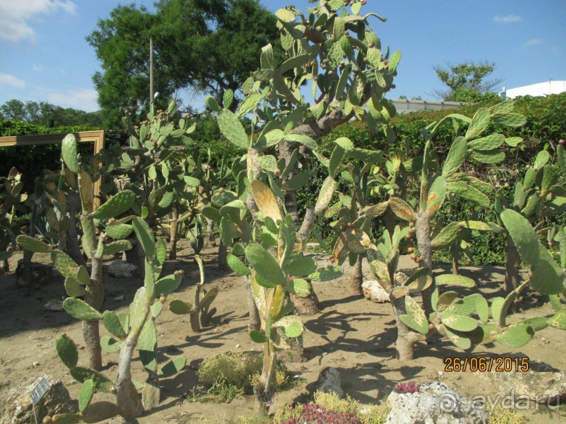 11 дней удачного отпуска