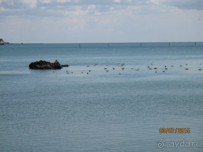 11 дней удачного отпуска