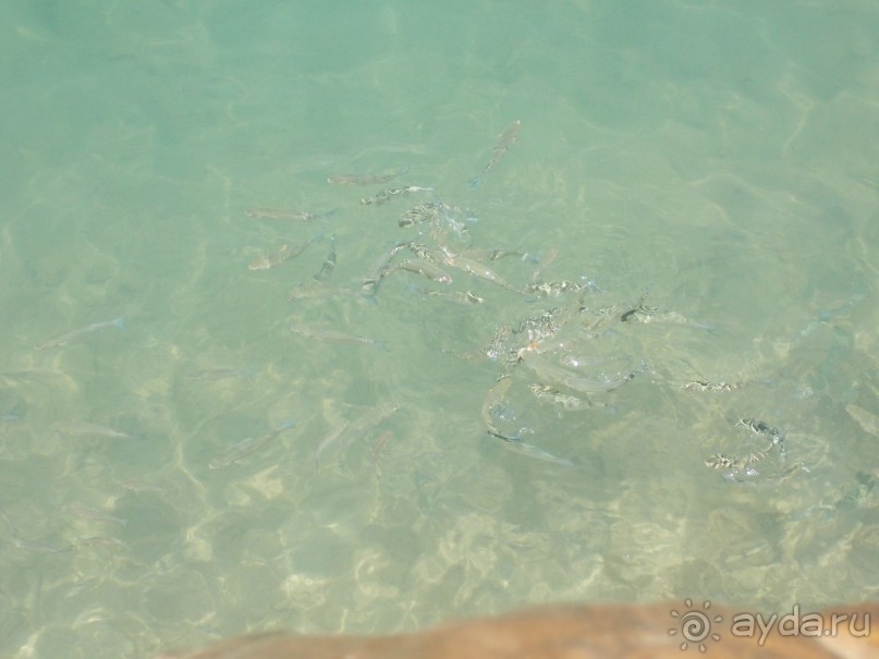 Ад адский !!!!! Почитайте если хотите купить тур!!!