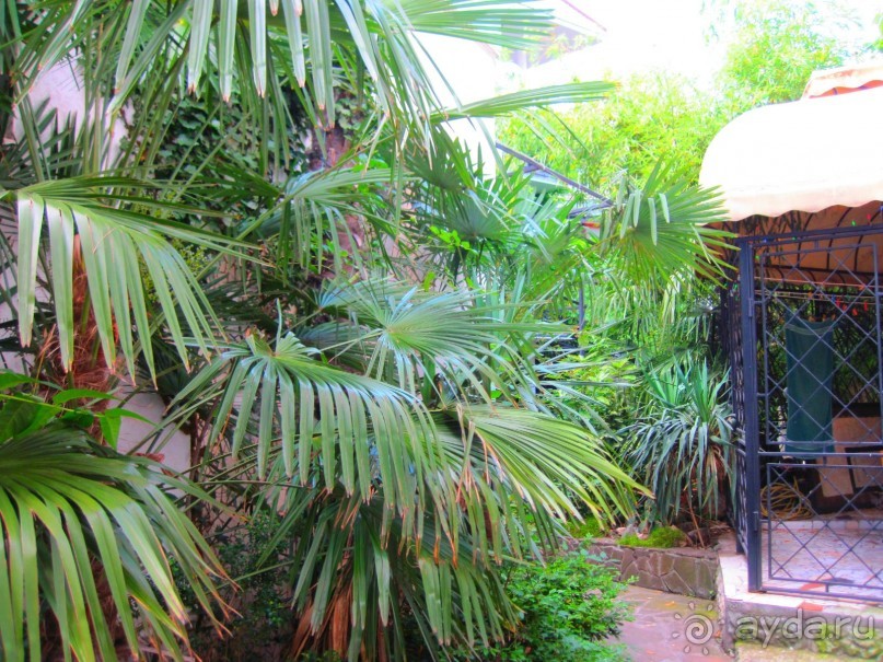  Недорого отдых в Крыму, www.yalta-rr.com