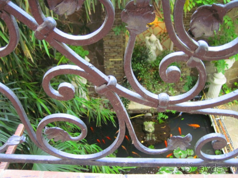  Недорого отдых в Крыму, www.yalta-rr.com