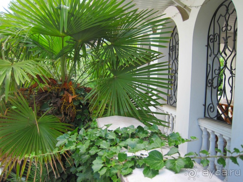  Недорого отдых в Крыму, www.yalta-rr.com