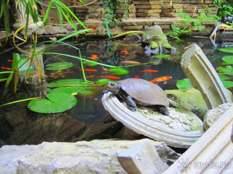  Недорого отдых в Крыму, www.yalta-rr.com