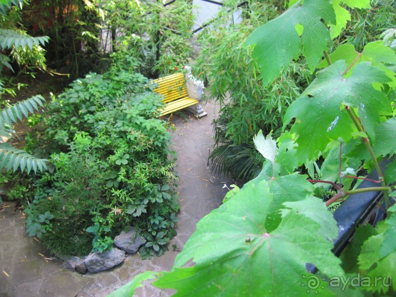  Недорого отдых в Крыму, www.yalta-rr.com