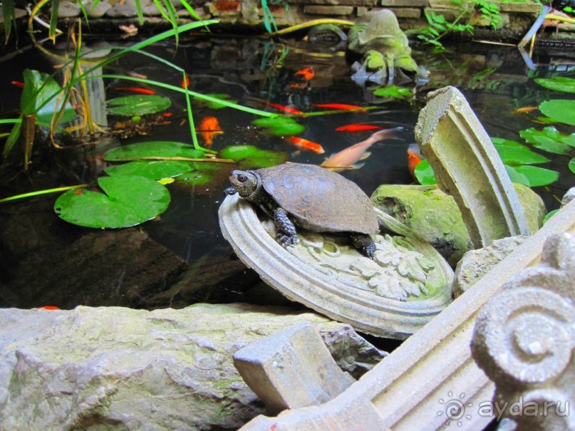  Недорого отдых в Крыму, www.yalta-rr.com