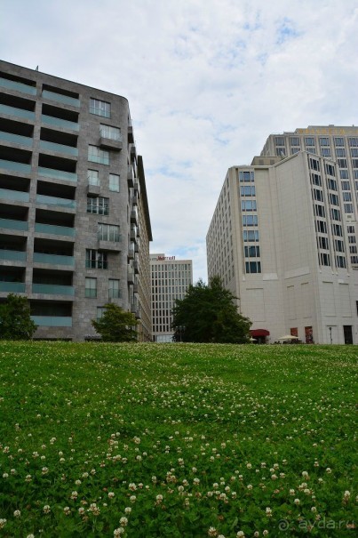 Я приехала на лечение.