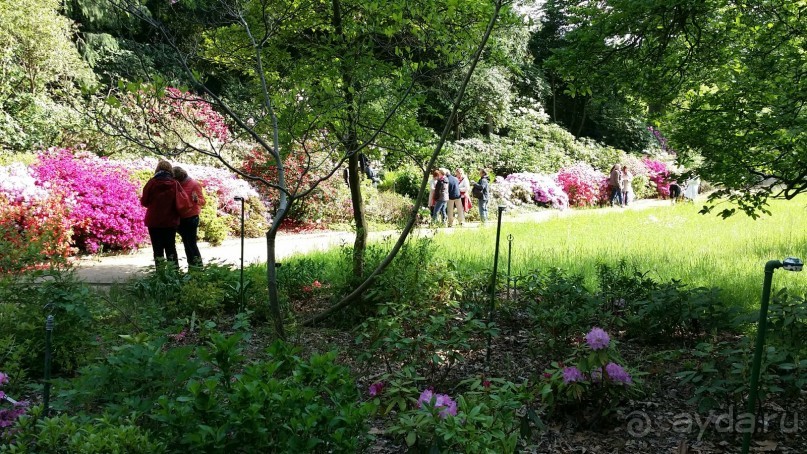 Я в Берлине была уже во второй раз. 