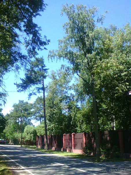 Мещерский пруд в Сколково Мещерский пруд в Сколково