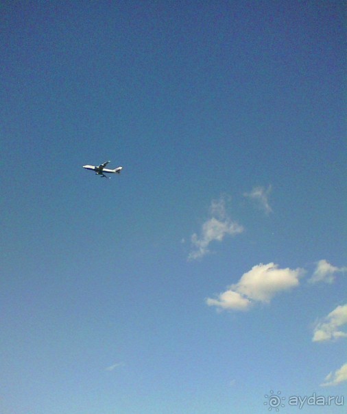 Мещерский пруд в Сколково