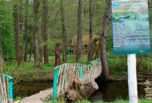 Нарач - большое, чистое озеро, цискариоза нет! ;)