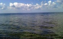 Нарач - большое, чистое озеро, цискариоза нет! ;)