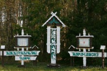 Нарач - большое, чистое озеро, цискариоза нет! ;)