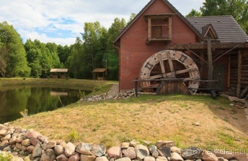 Нарач - большое, чистое озеро, цискариоза нет! ;)