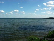 Нарач - большое, чистое озеро, цискариоза нет! ;)