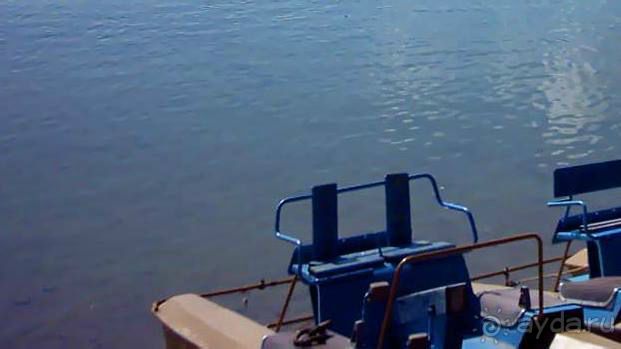 Нарач - большое, чистое озеро, цискариоза нет! ;)