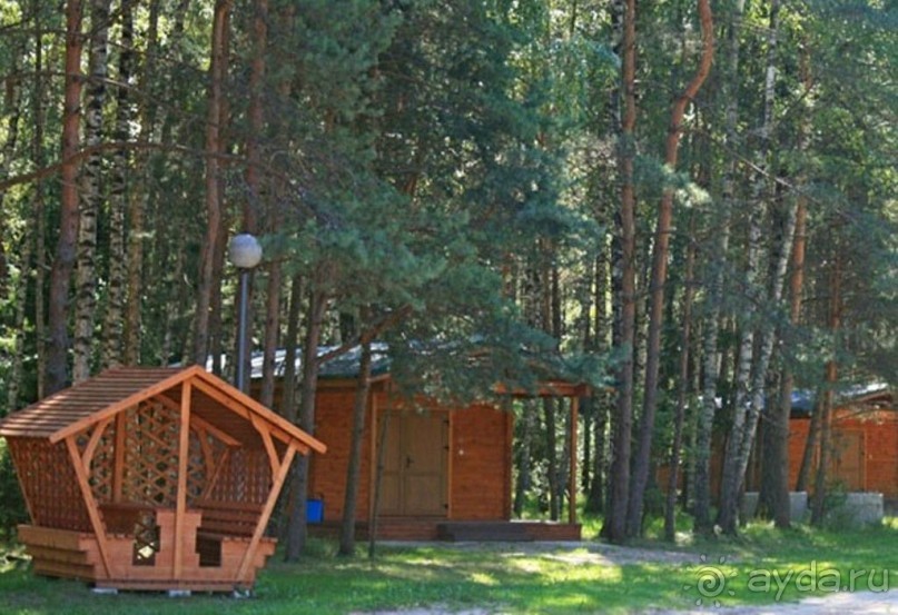 Нарач - большое, чистое озеро, цискариоза нет! ;)