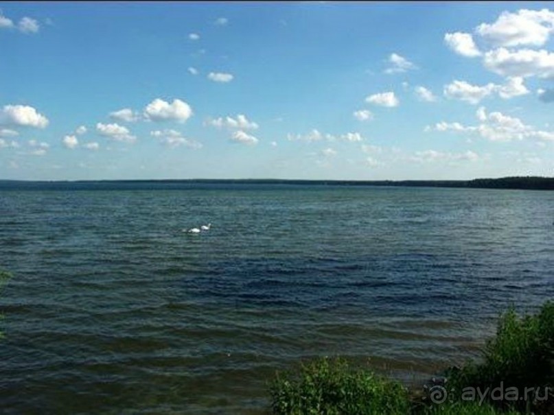 Нарач - большое, чистое озеро, цискариоза нет! ;)