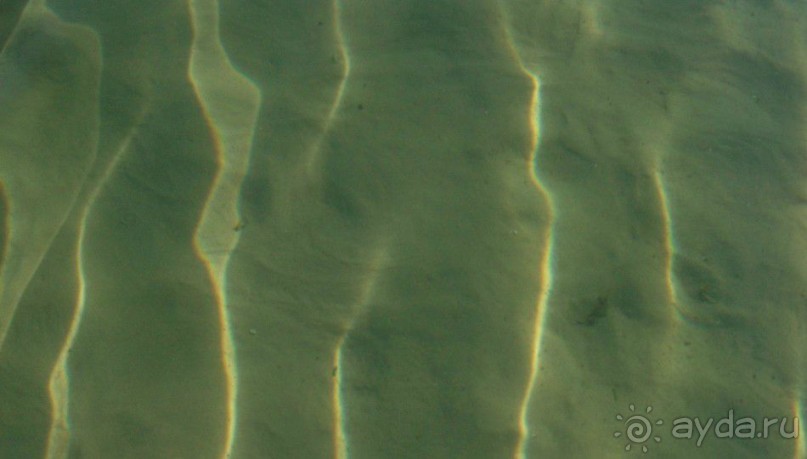 Нарач - большое, чистое озеро, цискариоза нет! ;)