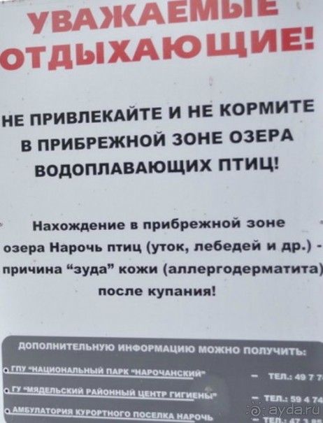 Нарач - большое, чистое озеро, цискариоза нет! ;)