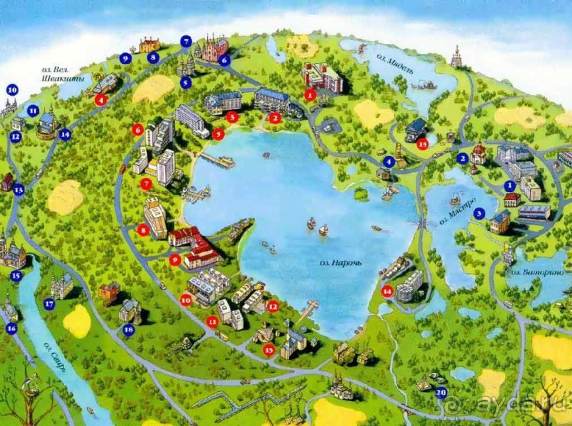 Нарач - большое, чистое озеро, цискариоза нет! ;)