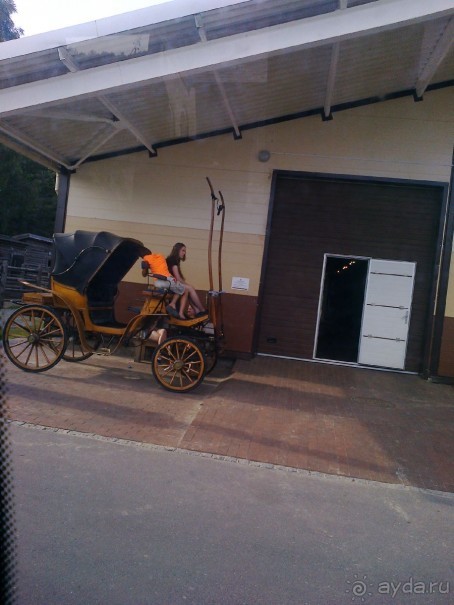 Нарач - большое, чистое озеро, цискариоза нет! ;)