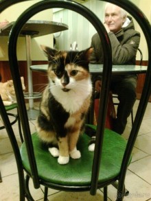 Из Москвы в Выборг через Питер на пару дней в декабре