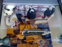 Из Москвы в Выборг через Питер на пару дней в декабре