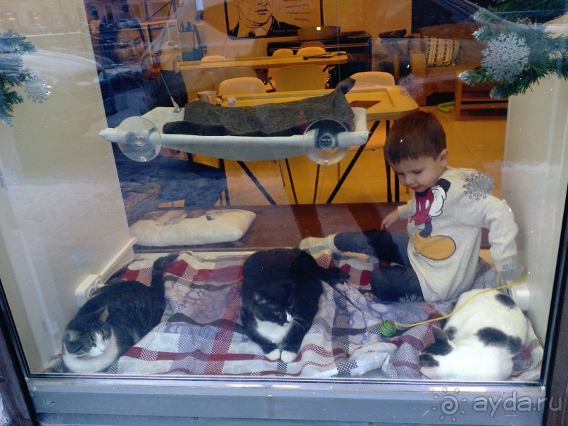 Из Москвы в Выборг через Питер на пару дней в декабре