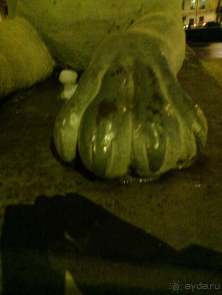 Из Москвы в Выборг через Питер на пару дней в декабре